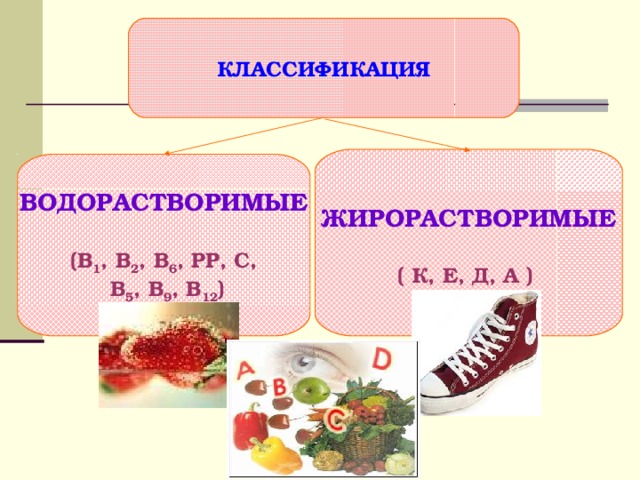 Жирорастворимые и водорастворимые витамины презентация
