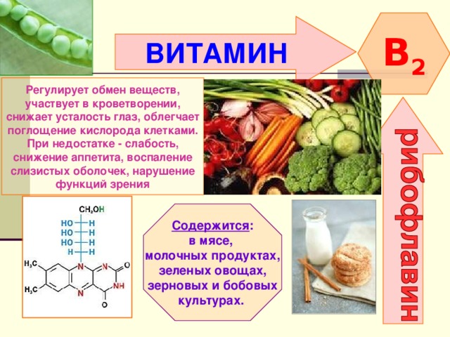 Какие витамины в организме