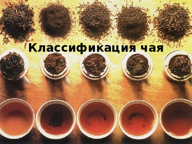 Что скрывается в чашке чая проект 10 класс. Смотреть фото Что скрывается в чашке чая проект 10 класс. Смотреть картинку Что скрывается в чашке чая проект 10 класс. Картинка про Что скрывается в чашке чая проект 10 класс. Фото Что скрывается в чашке чая проект 10 класс
