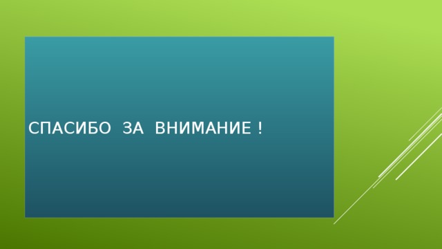 Спасибо за внимание ! 