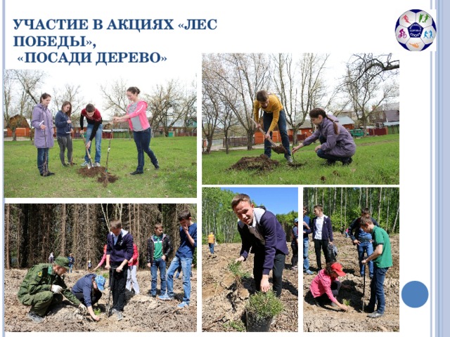 УЧАСТИЕ В АКЦИЯХ «ЛЕС ПОБЕДЫ»,  «ПОСАДИ ДЕРЕВО»