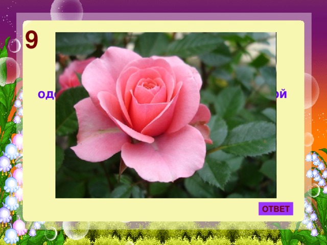 9 Лепесток какого цветка служил одеялом Дюймовочке из одноименной сказки Г. Х. Андерсена? ОТВЕТ 