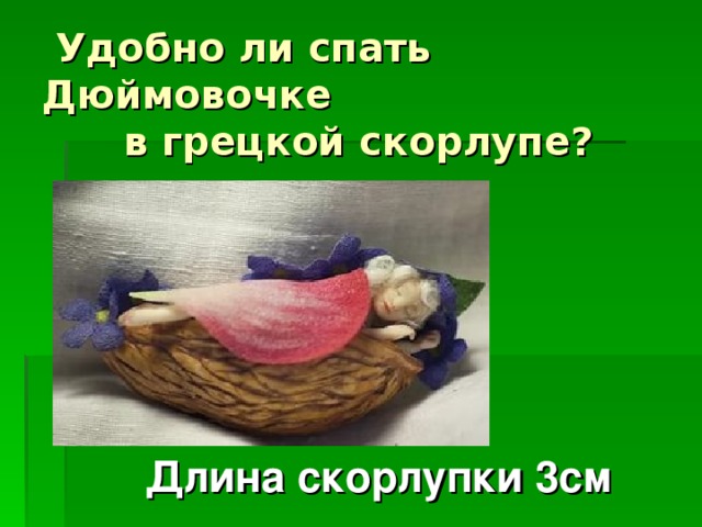 Удобно ли спать Дюймовочке  в грецкой скорлупе?  Длина скорлупки 3см
