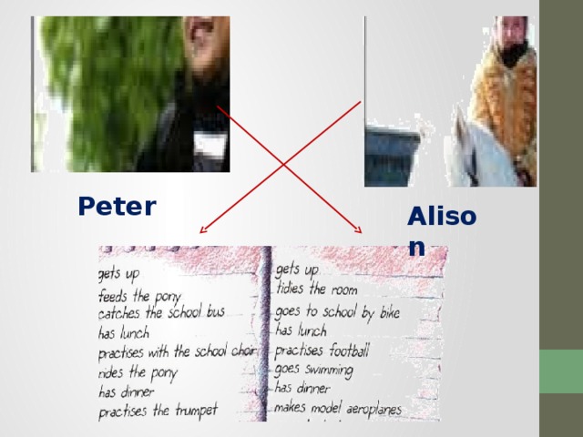 Peter Alison 