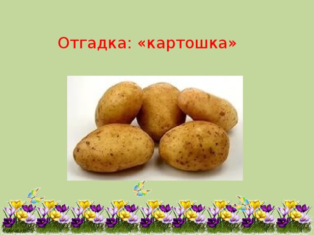 Отгадка: «картошка» 