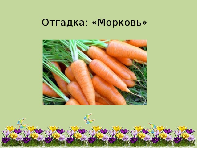 Отгадка: «Морковь» 