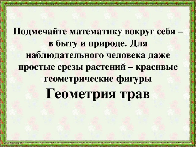 Подмечайте математику вокруг себя – в быту и природе. Для наблюдательного человека даже простые срезы растений – красивые геометрические фигуры  Геометрия трав 