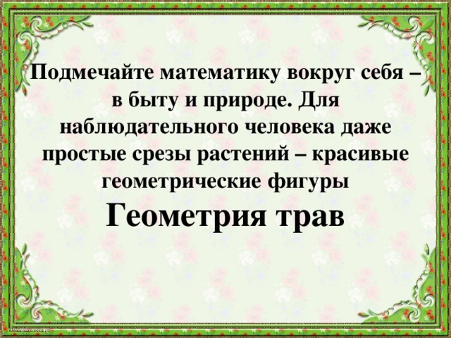 Подмечайте математику вокруг себя – в быту и природе. Для наблюдательного человека даже простые срезы растений – красивые геометрические фигуры  Геометрия трав 