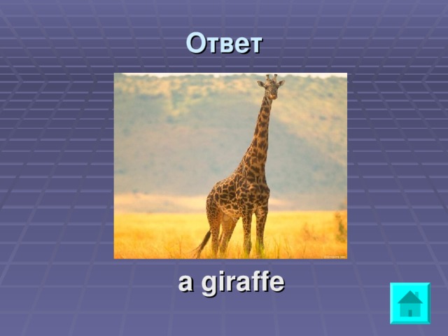 Ответ     a giraffe 