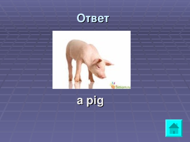 Ответ    a pig 
