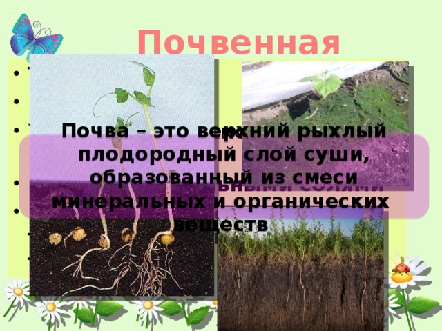 1 в почвенной среде достаточно. Почвенная среда. Почвенная среда обитания растения. Почвенная влага. Верхний плодородный слой суши.