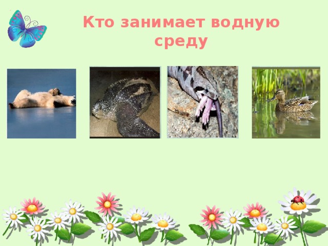 Кто занимает водную среду 