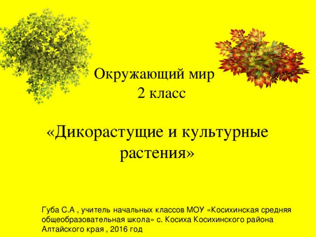 Дикорастущие и культурные растения 2 класс презентация школа россии