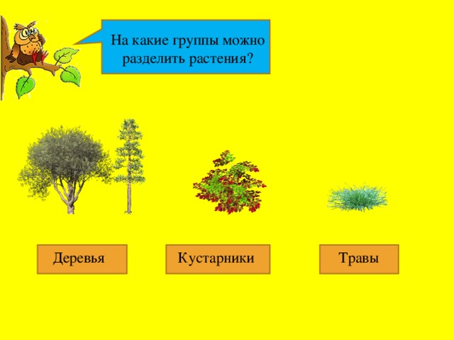 План по произведению кустики