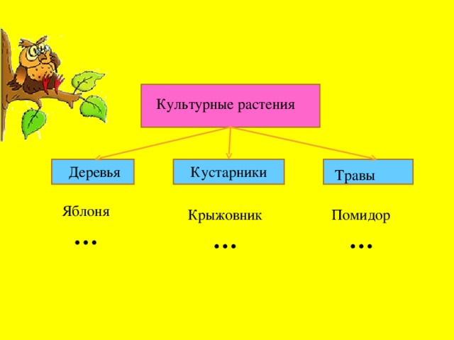 Технологическая карта дикорастущие и культурные растения