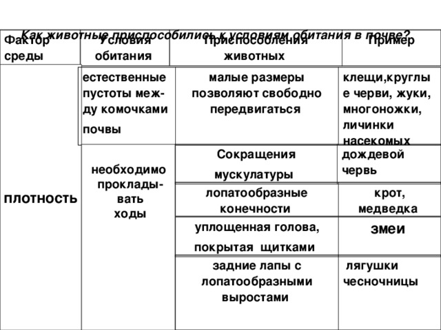 Основные экологические законы - смотреть видео онлайн от "Сделай Сам на 100%" в