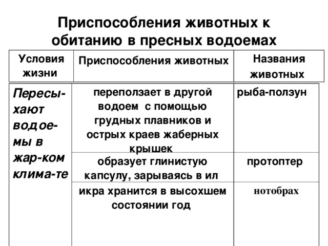 Приспособления животных к обитанию в пресных водоемах Условия жизни Приспособления животных  Названия животных  Пересы-хают водое-мы в жар-ком клима-те    переползает в другой водоем с помощью грудных плавников и острых краев жаберных крышек  рыба-ползун  образует глинистую капсулу, зарываясь в ил  икра хранится в высохшем состоянии год  протоптер  нотобрах 