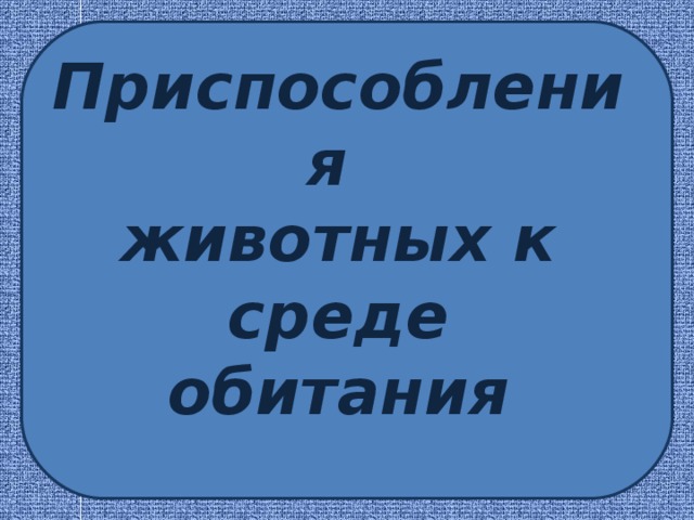 Крот черты приспособленности к среде обитания