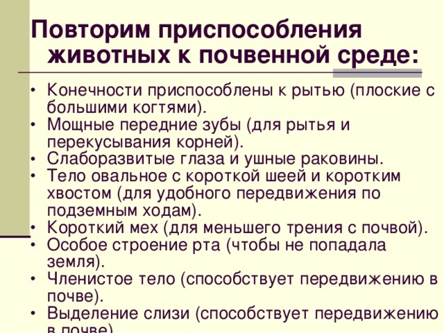 Повторим приспособления животных к почвенной среде:  Конечности приспособлены к рытью (плоские с большими когтями). Мощные передние зубы (для рытья и перекусывания корней). Слаборазвитые глаза и ушные раковины. Тело овальное с короткой шеей и коротким хвостом (для удобного передвижения по подземным ходам). Короткий мех (для меньшего трения с почвой). Особое строение рта (чтобы не попадала земля). Членистое тело (способствует передвижению в почве). Выделение слизи (способствует передвижению в почве).     