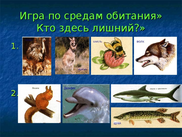 Игра по средам обитания» Кто здесь лишний?» 1. 2. 