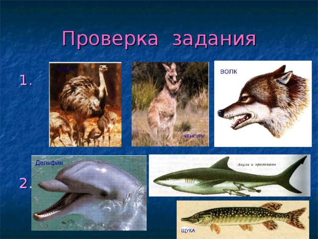 Проверка задания 1. 2 . 