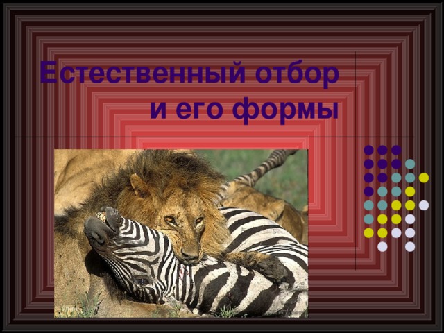 Выберите примеры иллюстрирующие естественный отбор
