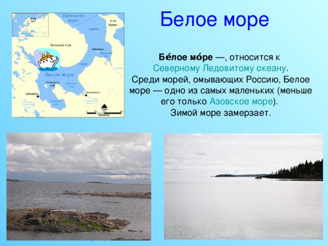 Белое море Бе́лое мо́ре —, относится к Северному Ледовитому океану . Среди морей, омывающих Россию, Белое море — одно из самых маленьких (меньше его только Азовское море ). Зимой море замерзает. 