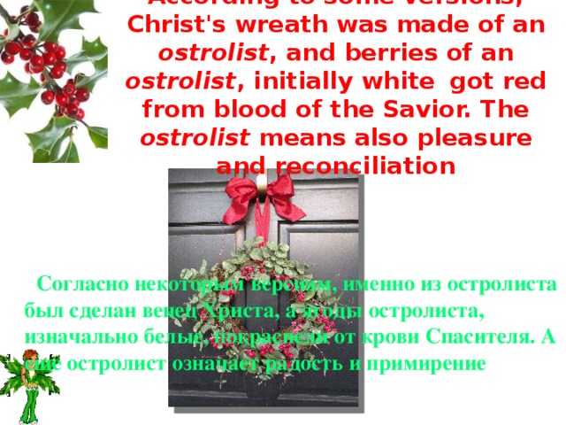 According to some versions, Christ's wreath was made of an ostrolist , and berries of an ostrolist , initially white  got red from blood of the Savior. The ostrolist means also pleasure and reconciliation  Согласно некоторым версиям, именно из остролиста был сделан венец Христа, а ягоды остролиста, изначально белые, покраснели от крови Спасителя. А еще остролист означает радость и примирение   