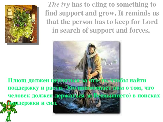 The ivy has to cling to something to find support and grow. It reminds us that the person has to keep for Lord in search of support and forces.    Плющ должен цепляться за что-то, чтобы найти поддержку и расти. Это напоминает нам о том, что человек должен держаться за Всевышнего) в поисках поддержки и сил. 