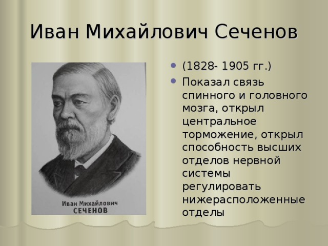 Иван Михайлович Сеченов (1828- 1905 гг.) Показал связь спинного и головного мозга, открыл центральное торможение, открыл способность высших отделов нервной системы регулировать нижерасположенные отделы 