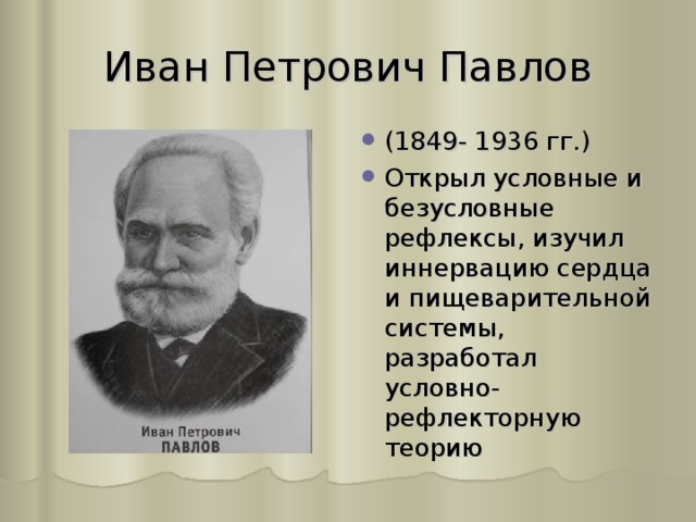 Иван Петрович Павлов (1849- 1936 гг.) Открыл условные и безусловные рефлексы, изучил иннервацию сердца и пищеварительной системы, разработал условно-рефлекторную теорию 