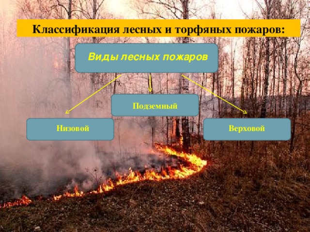 Лесные пожары вопросы. Торфяной пожар низовой пожар верховой пожар. Классификация торфяных пожаров. Классификация лесных и торфяных пожаров. Виды пожаров низовые верховые подземные.