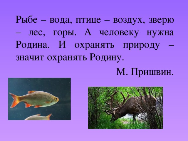 Пословица о рыбке. Рыбе вода птице воздух. Пришвин рыбе вода птице воздух зверю лес. Рыбе вода птице воздух зверю. Рыбе вода птице воздух а человеку нужна Родина.