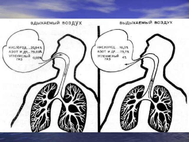 Кислород вдыхаемый воздух выдыхаемый воздух