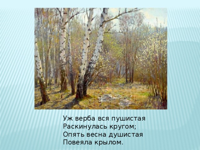 Пове ло. Опять Весна душистая Повеяла крылом. Опять Весна. Снова весною повеяло. Уж Верба вся пушистая раскинулась кругом.