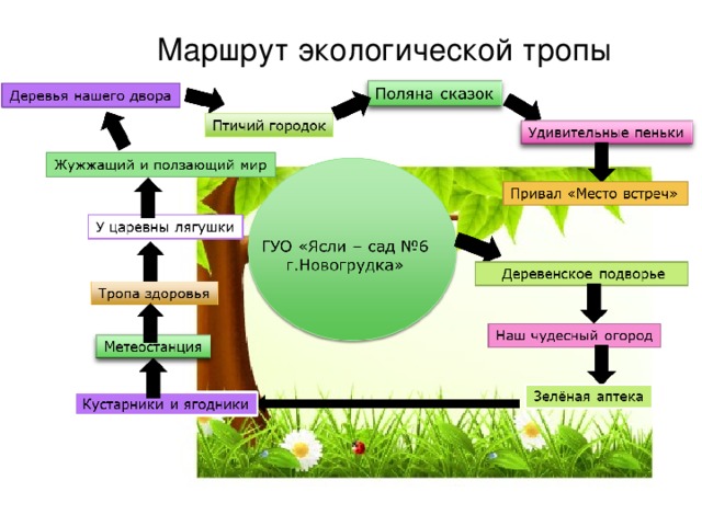 Индивидуальный проект на тему экологическая тропа