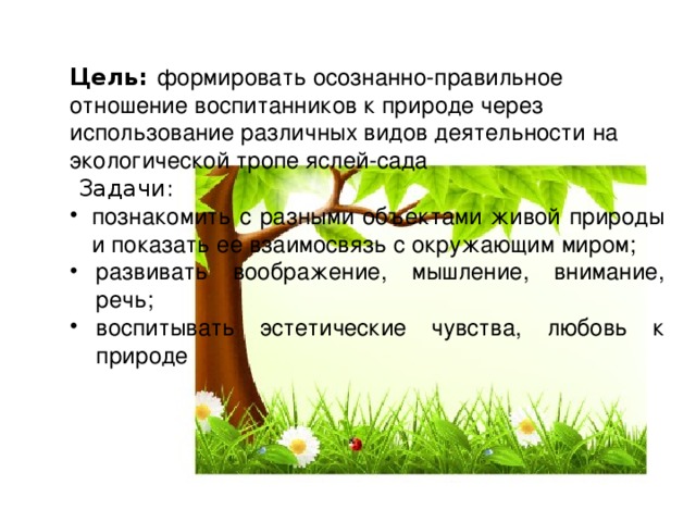 Проект экологическая тропа в детском саду в средней группе