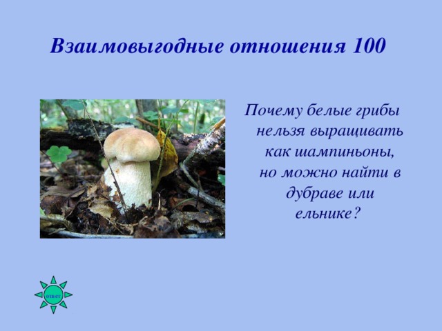 Биотические связи в природе