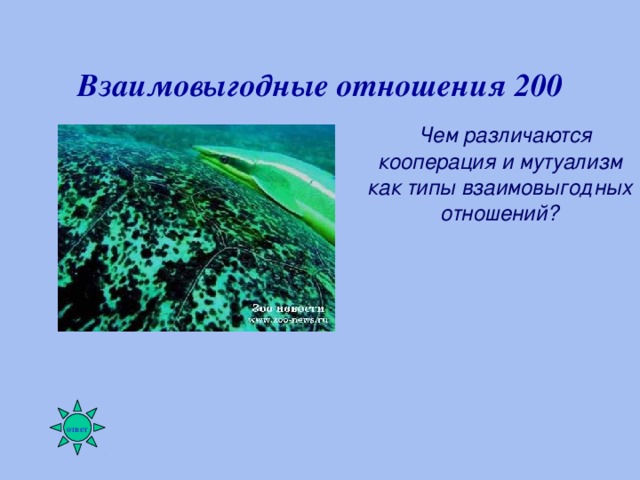 Биотические связи в природе