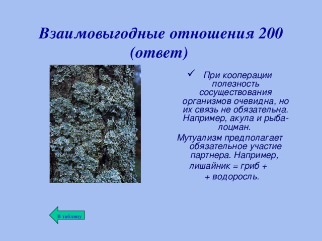 Банк России выявил в Нижнем Тагиле нелегальные ломбарды Новости Нижнего Тагила и