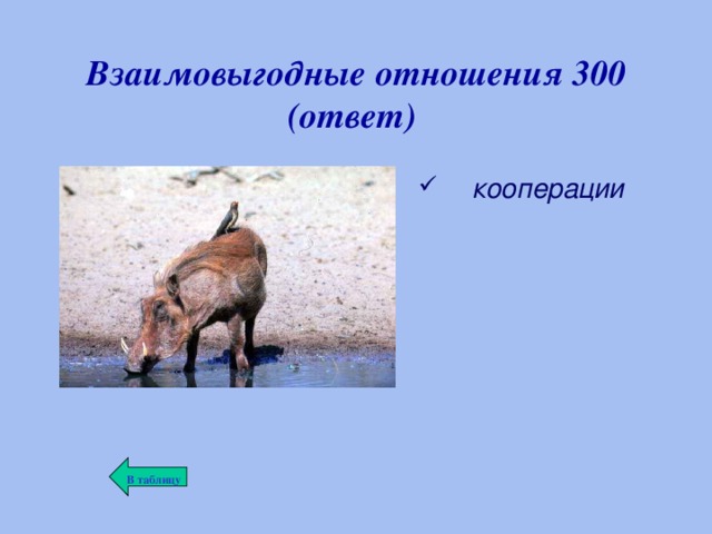 Биотические связи в природе