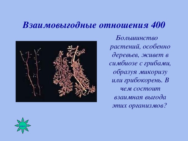 Биотические связи в природе