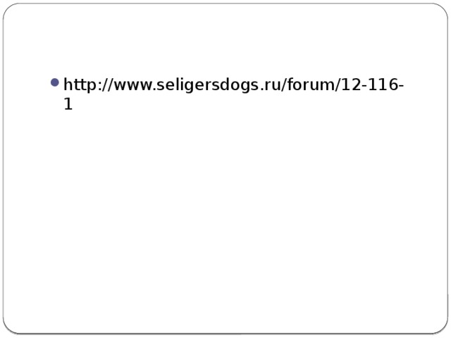 http://www.seligersdogs.ru/forum/12-116-1 