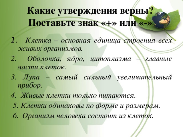 Какие утверждения верны?  Поставьте знак «+» или «-»   1. Клетка – основная единица строения всех живых организмов. 2. Оболочка, ядро, цитоплазма – главные части клеток. 3. Лупа – самый сильный увеличительный прибор. 4. Живые клетки только питаются.   5. Клетки одинаковы по форме и размерам.   6. Организм человека состоит из клеток.  