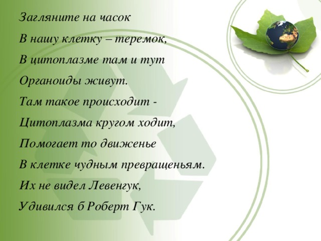 Загляните на часок В нашу клетку – теремок, В цитоплазме там и тут Органоиды живут. Там такое происходит - Цитоплазма кругом ходит, Помогает то движенье В клетке чудным превращеньям. Их не видел Левенгук, Удивился б Роберт Гук. 