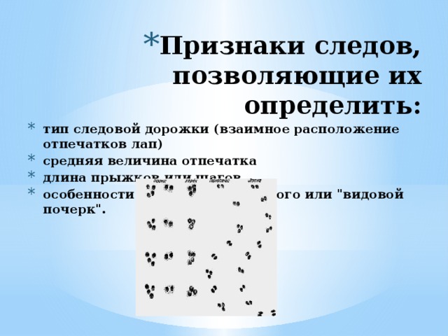 Признаки следов. Признаки следа. Следовые признаки. Собственные признаки следа. Общефизические признаки следов.