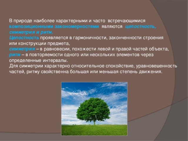 В природе наиболее характерными и часто встречающимися композиционными закономерностями   являются   целостность, симметрия и ритм.  Целостность проявляется в гармоничности, законченности строения или конструкции предмета,   симметрия   – в равновесии, похожести левой и правой частей объекта,  ритм  – в повторяемости одного или нескольких элементов через определенные интервалы.  Для симметрии характерно относительное спокойствие, уравновешенность частей, ритму свойственна большая или меньшая степень движения. 