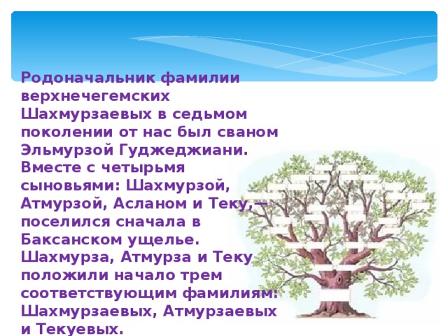 Родоначальник фамилии верхнечегемских Шахмурзаевых в седьмом поколении от нас был сваном Эльмурзой Гуджеджиани. Вместе с четырьмя сыновьями: Шахмурзой, Атмурзой, Асланом и Теку,— поселился сначала в Баксанском ущелье. Шахмурза, Атмурза и Теку положили начало трем соответствующим фамилиям: Шахмурзаевых, Атмурзаевых и Текуевых. 