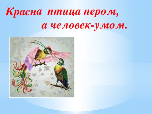 Красная птица перьям а человек учением. Красна птица пером а человек. Птица с красными перьями. Красна птица пером а человек знаниями. Красна птица пером а человек умом иллюстрация.