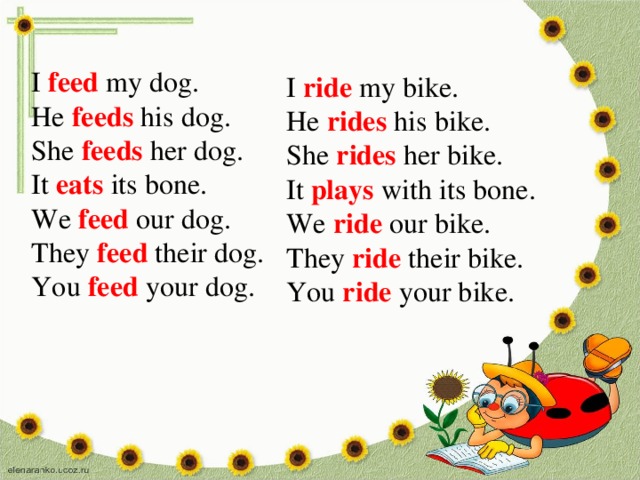 I feed my dog. He feeds  his dog. She  feeds her dog. It eats its bone. We feed our dog. They feed their dog. You feed your dog. I ride my bike. He rides  his bike. She  rides her bike. It plays with its bone. We ride our bike. They ride their bike. You ride your bike. 